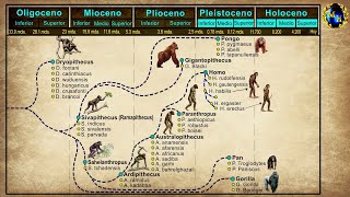 El Proceso de Hominización [upl. by Madge372]