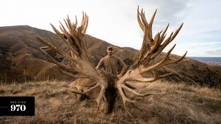 Venator New Zealand  Three Massive Red Stags Scoring Over 900 SCI [upl. by Thurston553]