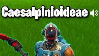 Say My Fortnite Name Right Win 100 [upl. by Adlig737]