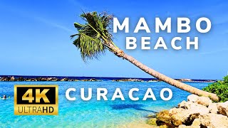 Curacao  4K  Mambo Beach  Beach Walk  BeachLife [upl. by Nurav677]