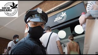 TIENDA BARCELONA SWEED DREAMS CBD 🥬💚 Video de innaguración 🥳 [upl. by Noedig]