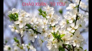 CHÀO XUÂN  TÚ TỬU [upl. by Letnwahs159]