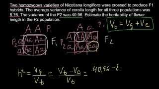 How to calculate heritability [upl. by Felice9]