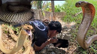 TATLONG COBRANG MABABANGIS SA WASHING MACHINE [upl. by Anibur]