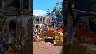 Gatlinburg 🎃gatlinburg fall [upl. by Ellerahc572]