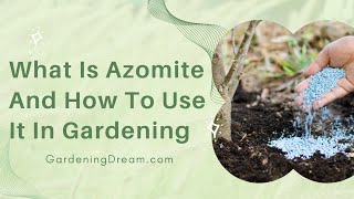 What Is Azomite And How To Use It In Gardening [upl. by Kamila]