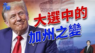 2024大選，加州開始向右轉，但是存在一個大問題｜2024美國大選｜方偉時間 ｜ 11172024 [upl. by Hentrich283]