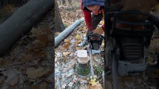 automobile wood chainsaw stihl firewood tree welding diy survival woodworking [upl. by Ataliah]