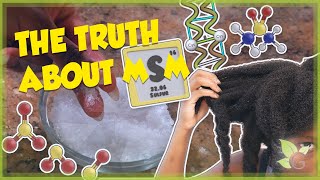 The truth about MSM Does it really make your hair grow [upl. by Holey413]