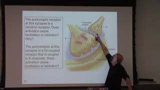 Presynaptic Inhibition and Facilitation Questions [upl. by Werbel636]