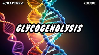 Chapter 2  Metabolism Of Carbohydrates Part7  Glycogenolysis [upl. by Efi]