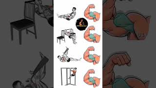 Biceps Arm Exercise 💪 shorts shortsvideo short biceps arms workout [upl. by Zoila]