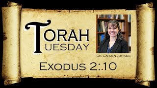 Torah Tuesday  Exodus 210 [upl. by Noyk]