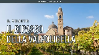 I segreti del Ripasso della Valpolicella  Tannico Flying School [upl. by Slrahc]