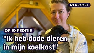 Prepareren Yana 20 is dol op het opzetten van dieren  RTV Oost [upl. by Kloster]