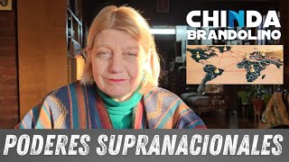 Los Poderes Supranacionales  Dra Chinda Brandolino [upl. by Wally787]