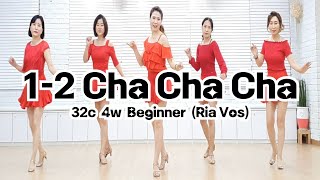 12 Cha Cha Cha Line Dance Ria Vos beginner chacha 차차 국금선라인댄스 linedance 라인댄스 [upl. by Louanna746]