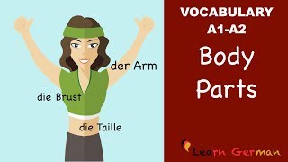 Learn German  German Vocabulary  die Körperteile  Body parts  der Körper  A1 [upl. by Betsy]