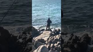 Easy Caught Massive Snapper at the Rocks [upl. by Leinahtan]