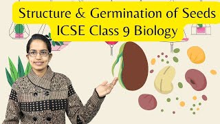 Structure amp Germination of Seeds  Epigeal Hypogeal  ICSE Class 9 Biology  SOF  NTSE  NSTSE [upl. by Corsetti959]