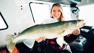 SMASHING Lake Winnipeg Greenback Walleyes [upl. by Auvil]