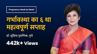 गर्भावस्था का छठवां सप्ताह  Pregnancy week by week  6th week  Dr Supriya Puranik Pune [upl. by Nevah816]