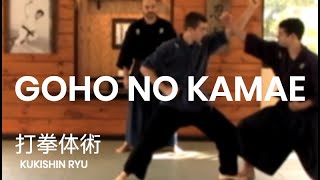 Taijutsu Kamae Goho Kukishin Ryu Dakentaijutsu basics [upl. by Nilok]