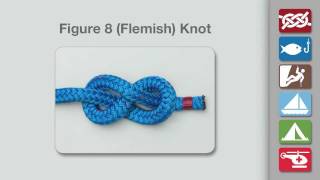 How to Tie a Figure 8 Knot [upl. by Flann]