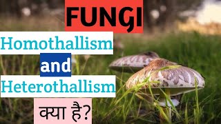 homothallism and heterothallism kya h in hindi [upl. by Yaras652]