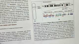 HLA TYPING [upl. by Convery]