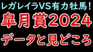 皐月賞2024の見どころとデータ！G1牝馬レガレイラにシンエンペラーなど有力牡馬が立ち向かう！【皐月賞2024】 [upl. by Aranat717]