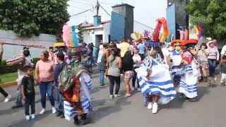 1Chinelos de Fin de Zafra 2022 Casasano Cuautla Morelos [upl. by Nallek25]