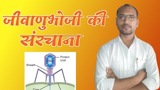 Structure Of Bacteriophage  T4 Bacteriophage  Microbiology  By Ashish Sir  Coliphage Virus [upl. by Simone308]