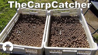 Keep It Simple Carp Fishing  Easy Method For Catching Carp [upl. by Oramug146]