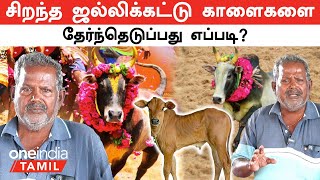 Jallikattu காளை கன்று வாங்கும் போது கவனிக்க வேண்டிய விசயங்கள்  Oneindia Tamil [upl. by Nallij]