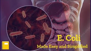 E Coli Bacteria Microbiology  Escherichia Coli  E Coli Disease [upl. by Asirret680]