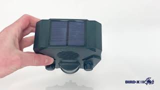 Solar Yard Gard Pest Animal Repeller [upl. by Tonjes598]