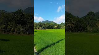 Kella Embilipitiya  කෑල්ල ඇඹිලිපිටිය nature asiancountry [upl. by Infeld645]