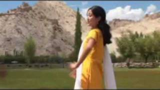 Tsesems Tsesems Ladakhi Movie Song Mitse Diring Skit Skit rak [upl. by Benji]