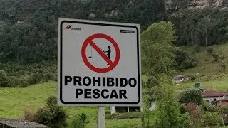 Pesca de Trucha en Tominé y Guasca  Fishing in Cundinamarca  Colombia  Wordens Rooster Tail [upl. by Gapin]