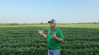 Nutrien Programed Nutritional Approach to R3 Soybeans with Fungicide [upl. by Manup]