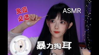 ASMR 暴力掏耳朵，萌新慎入Aggressive Ear Cleaning Not for Beginners [upl. by Amein]