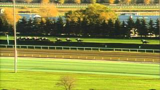 1996 Breeders Cup Turf [upl. by Asiram505]