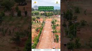 Best Premium Farmland near North Bangalore  Elegant Orchards Estate groavybuilders [upl. by Ronnoc]