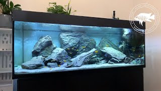 Mbuna Aquarium Setup  Inspired by diving in the Nkhata Bay [upl. by Ylrak156]