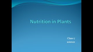 Nutrition in Plants Part1 Class 7 Science [upl. by Trina169]