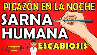 SARNA HUMANA  ESCABIOSIS⚡EXPLICACIÓN FÁCIL ¿Cómo se contagia Síntomas Diagnóstico y Tratamiento 📝 [upl. by Mimajneb305]