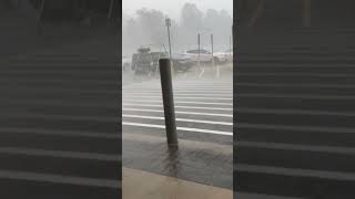 Sudden Windstorm and Downed Trees Filmed UpClose [upl. by Jose]