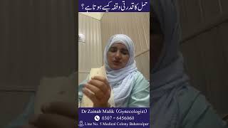 حمل کا قدرتی وقفہ کیسے ہوتا ہے؟ [upl. by Aytnahs]