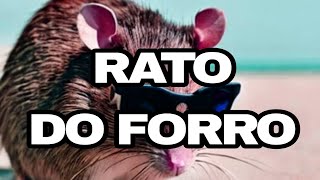 RATO DO FORRÓ ATUALIZADO NOVEMBRO 2024 [upl. by Kalfas370]